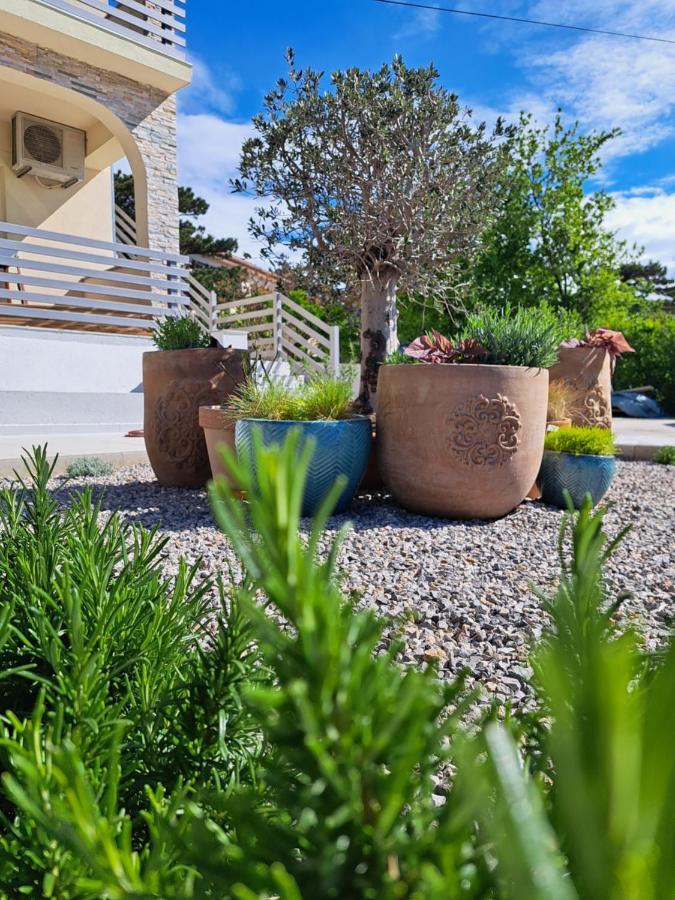 Vila Aria - Health & Wellness App Novi Vinodolski Esterno foto